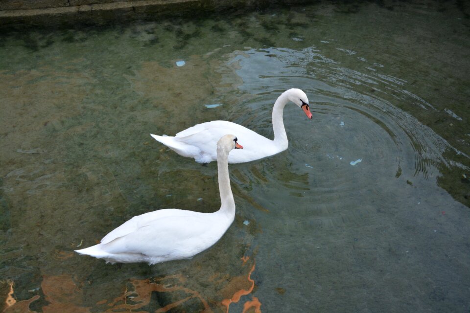 Water lake annecy