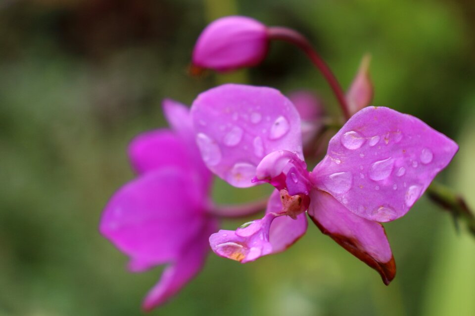 Water drop colorful