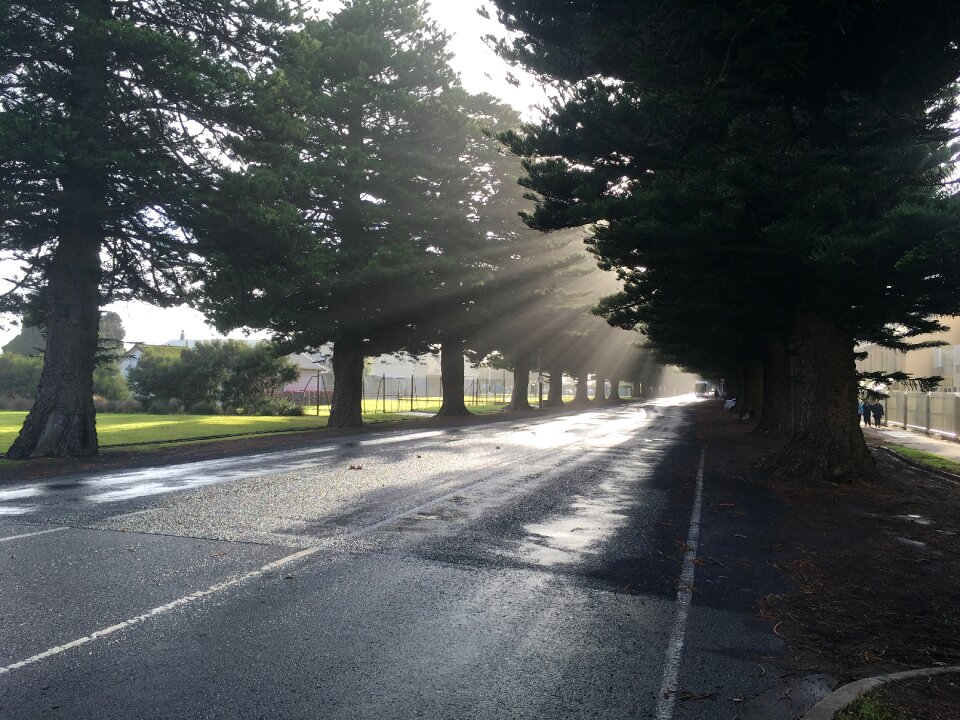 Street sunbeam