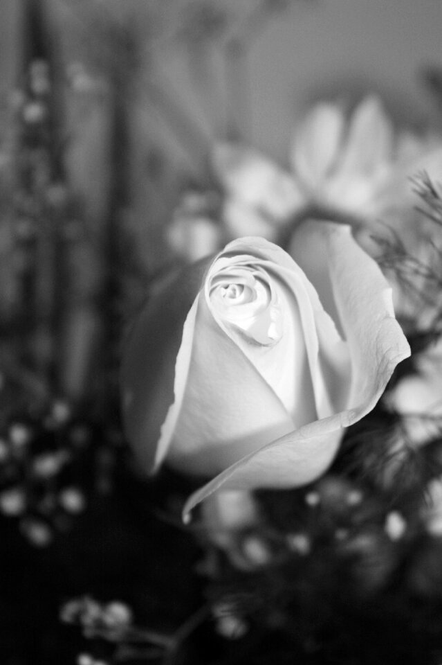 Love nature flower