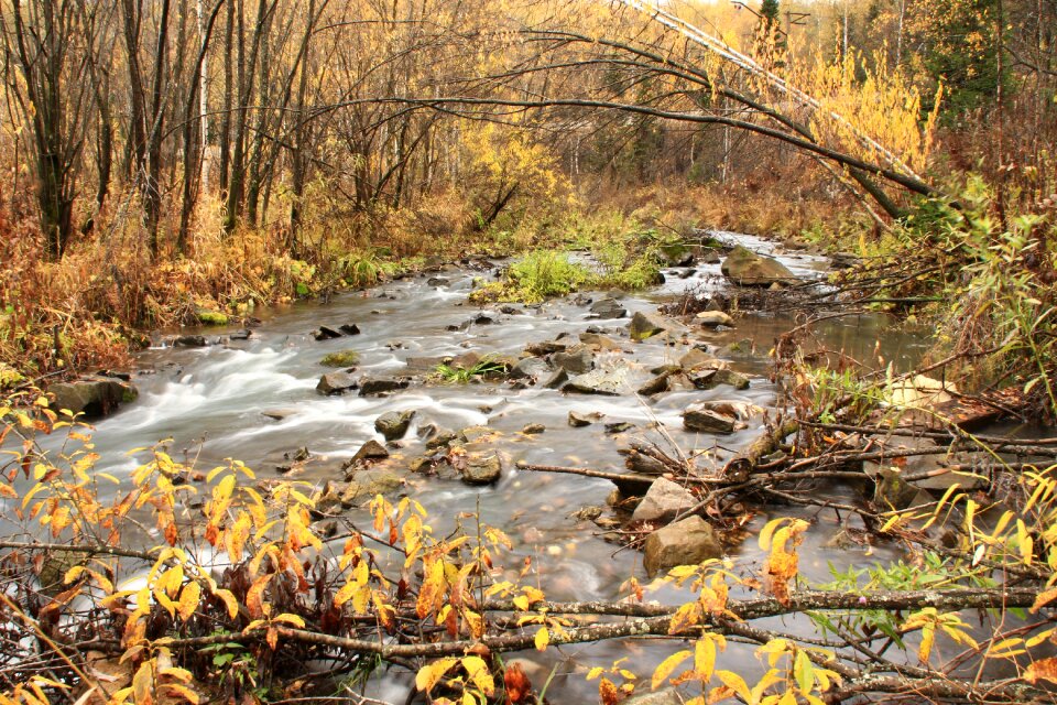 Autumn creek water