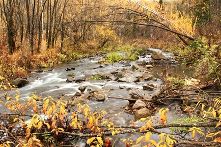 Autumn creek water photo