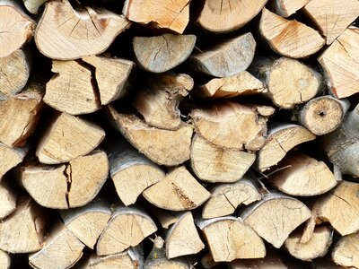 Background tree log