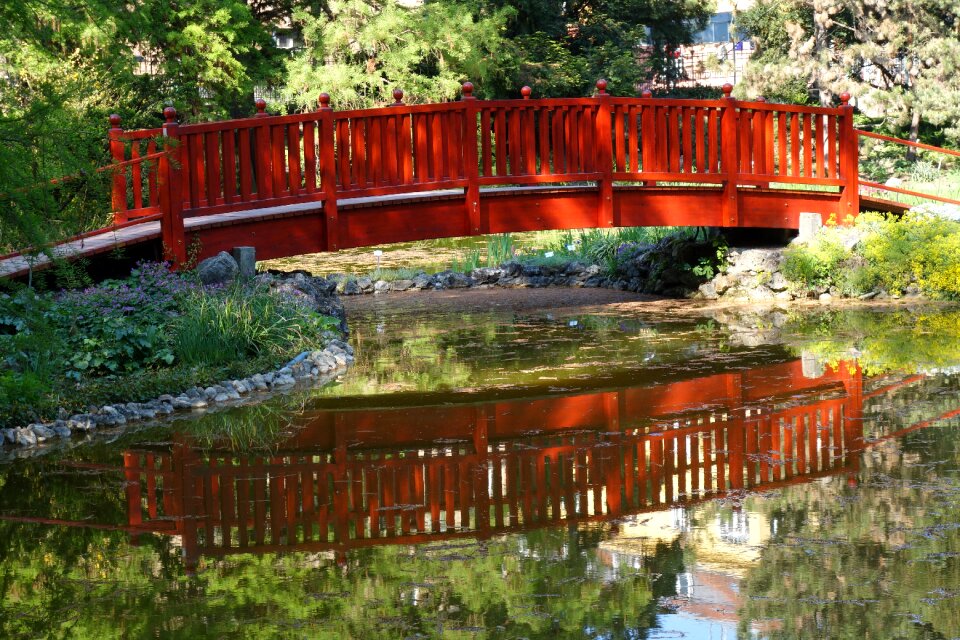 Reflexion brown nature