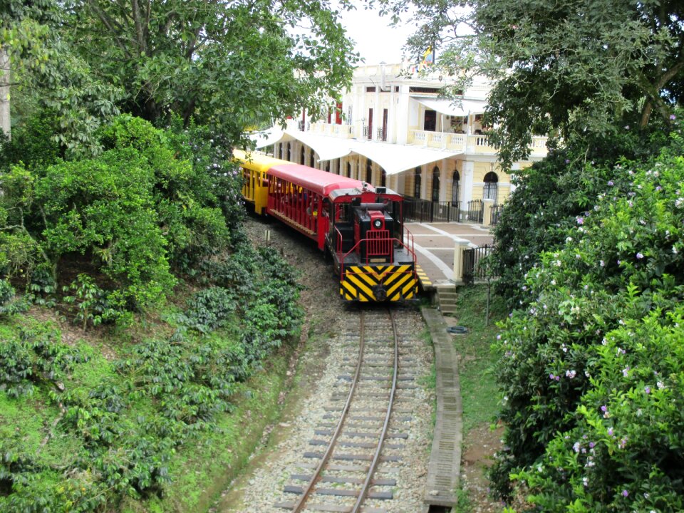 Railway locomotive transport