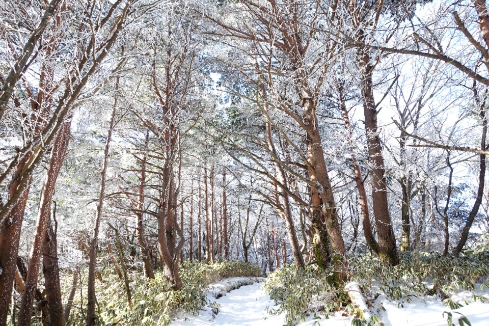 Winter mountain sunshine climbing