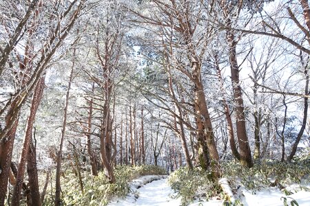 Winter mountain sunshine climbing