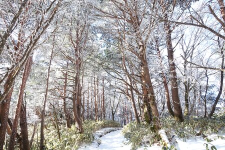 Winter mountain sunshine climbing photo