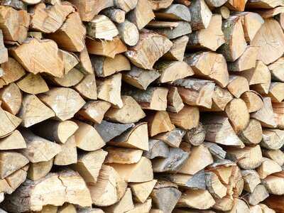Background tree log