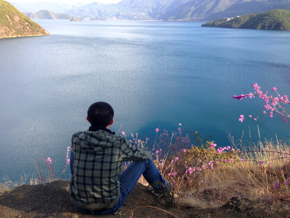 Shanghai put lake facing the sea spring flowers