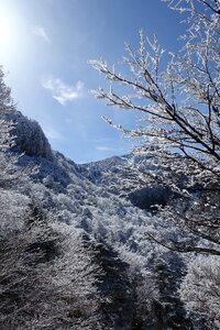 Republic of korea snow landscape