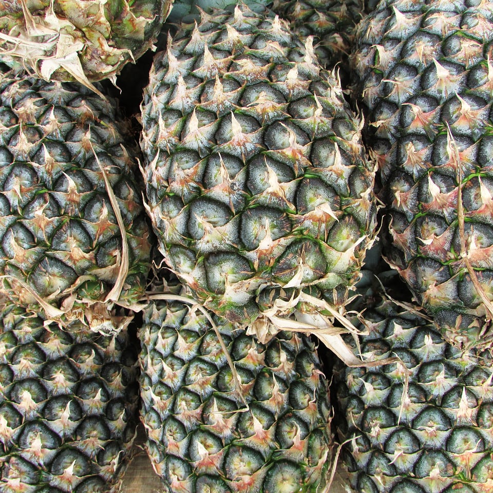 India fruit juicy