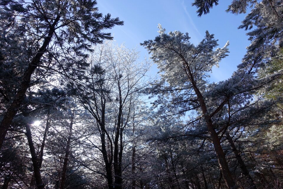 Snow winter mountain landscape