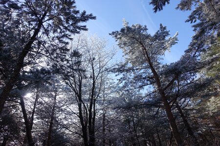 Snow winter mountain landscape