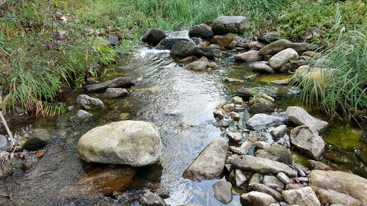 The rural brook the creek streams