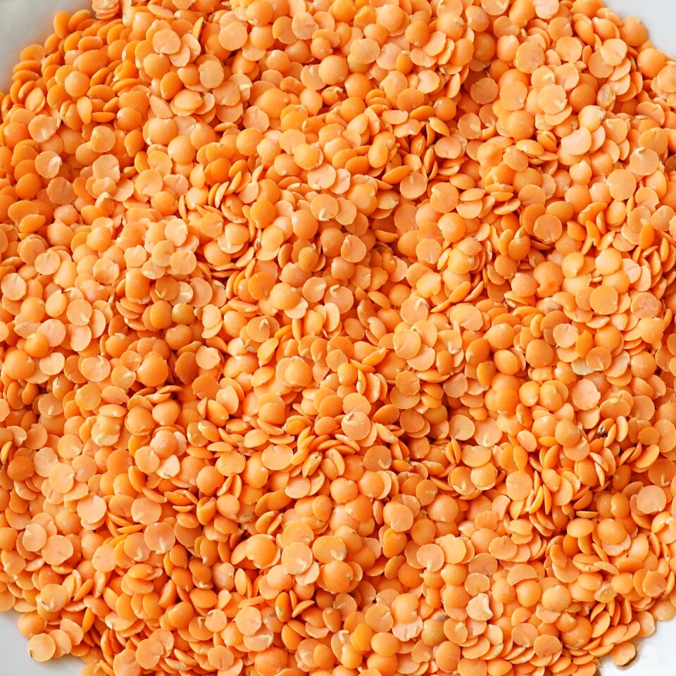 Diet vegetarianism red