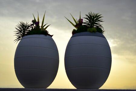 Funeral design inzein plants