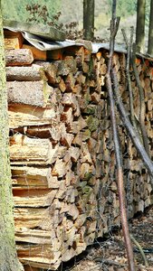 Forestry log timber industry