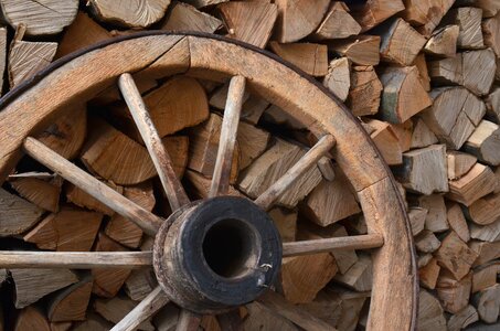 Cart wheel cloven tree