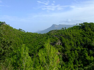 Banyalbufar mallorca tramuntana