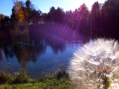 Nature pond
