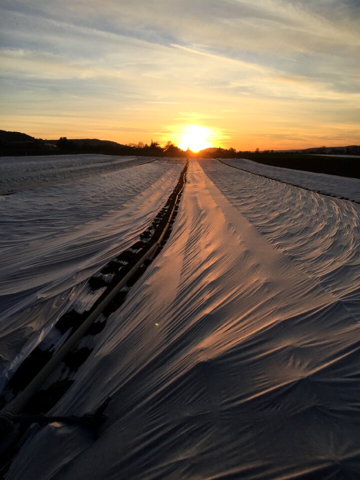 Sun setting blache