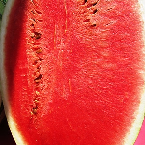 Red fruit summer