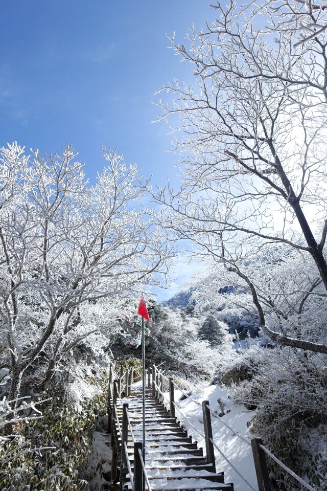 Republic of korea snow landscape