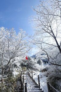 Republic of korea snow landscape photo