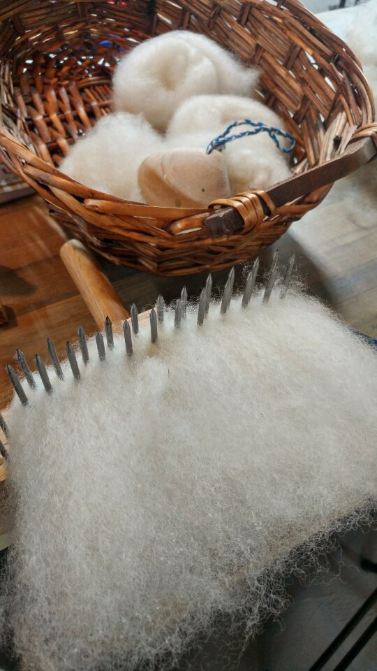Corriedale wool combs