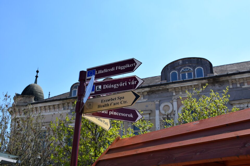 Where hungarian table plant