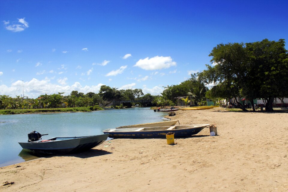 Beach sunlight landscape
