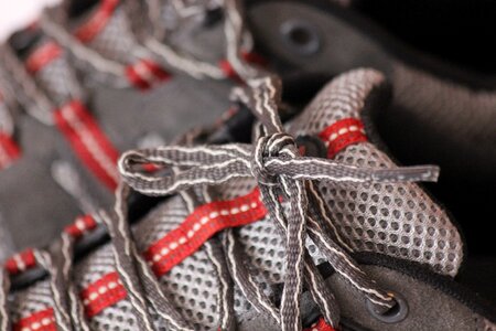 Laces sneakers gray