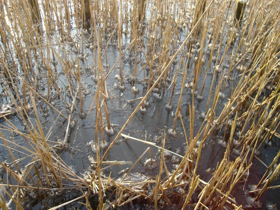 Winter cold pattern