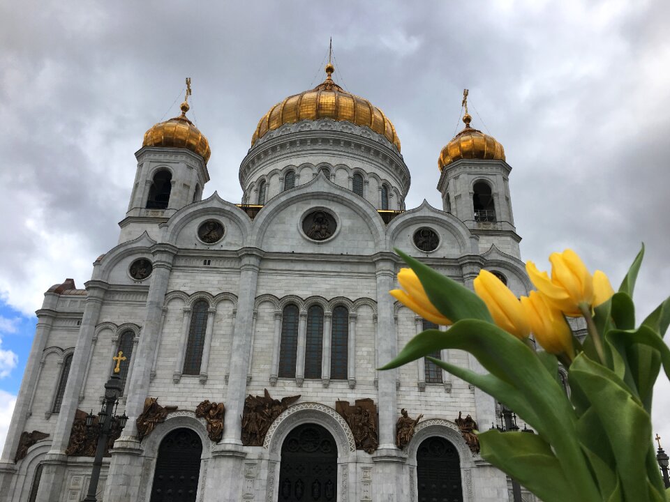 Moscow architecture yellow tulips