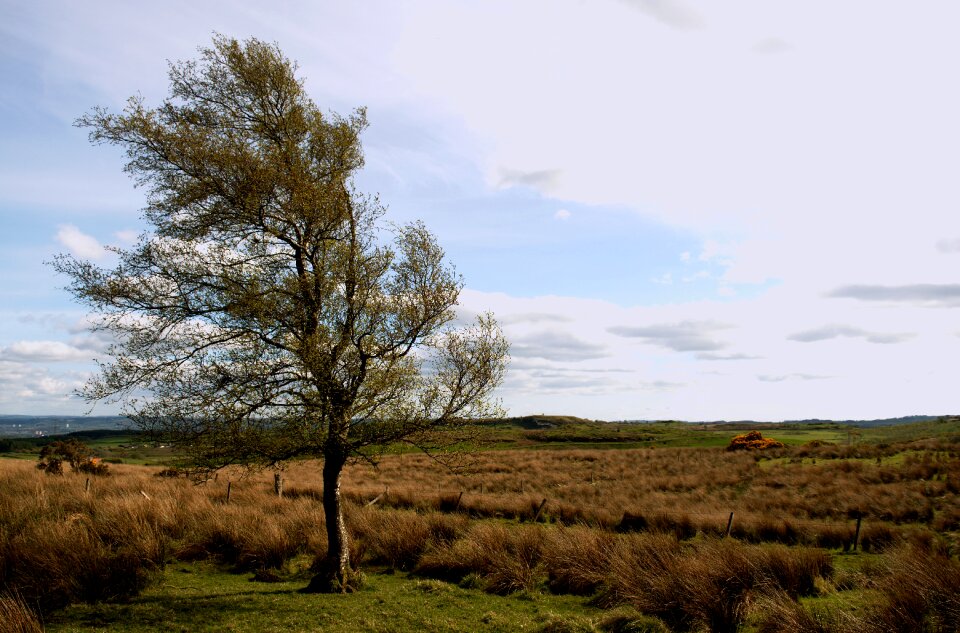 Countryside fields