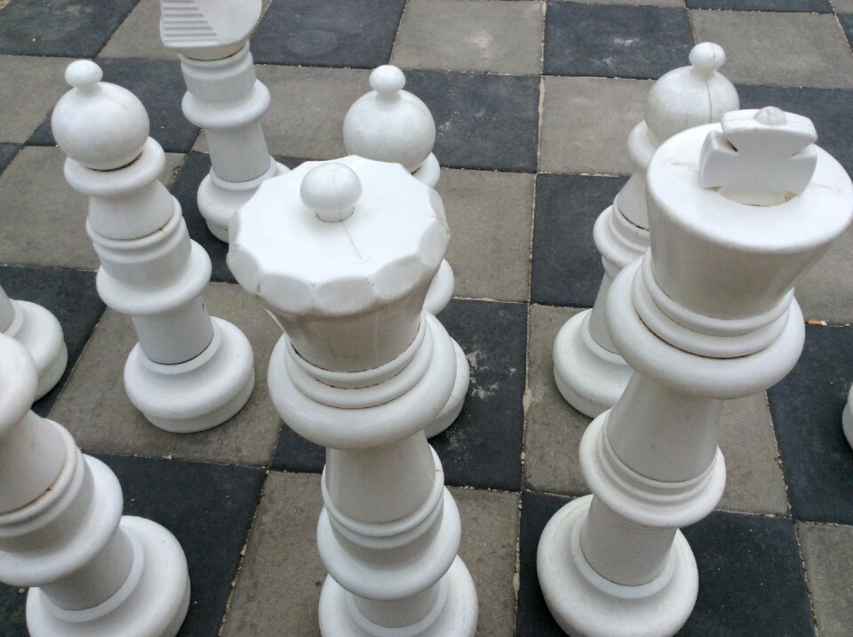 Development protection leadership
