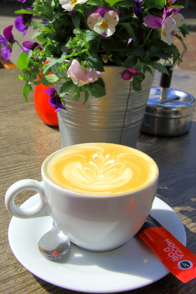Cup flower blossom