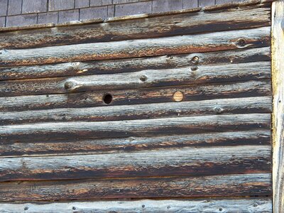 Texture wood background photo