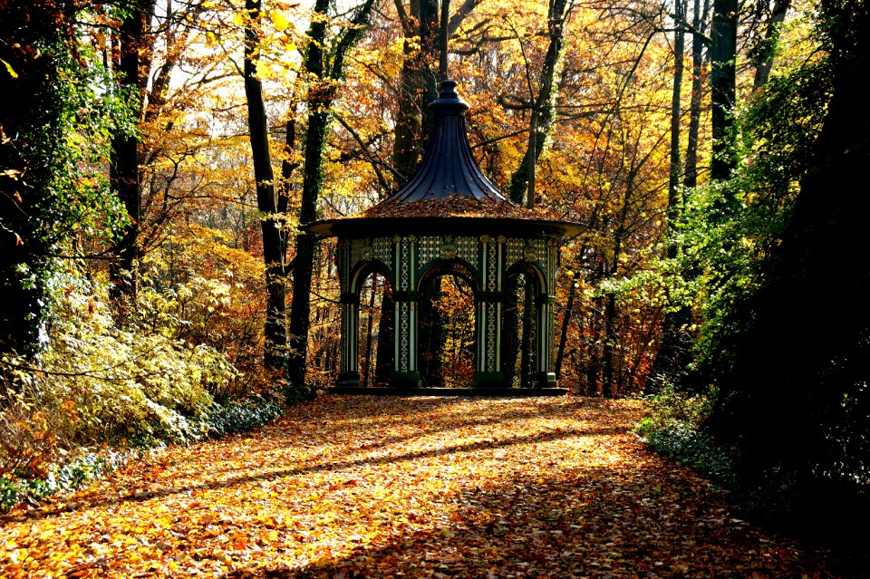 Pavilion leaves trees