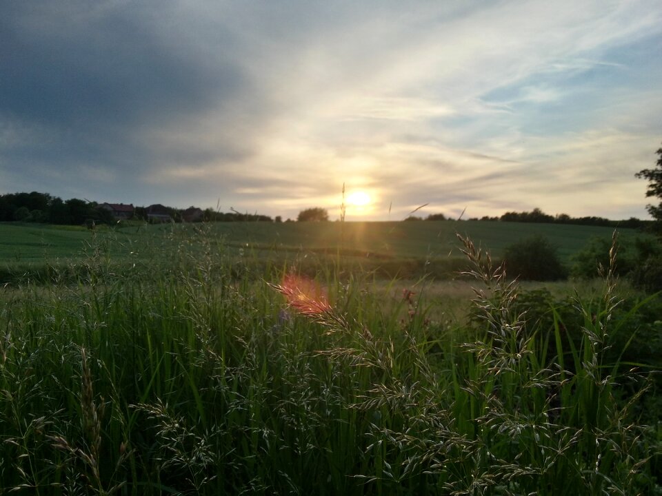 Erfurt sunshine sunset