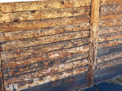 Texture wood background