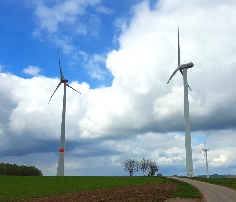 Wind landscapes movement