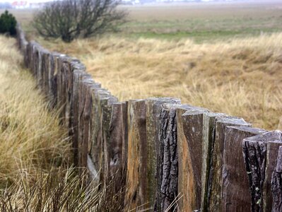 Lyme grass divide denmark