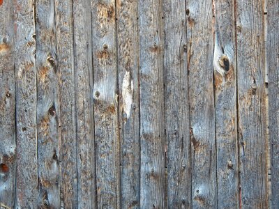 Texture wood background photo