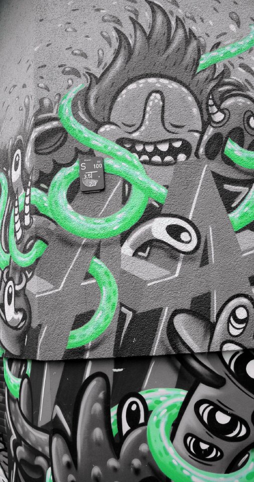 Wall mural facade