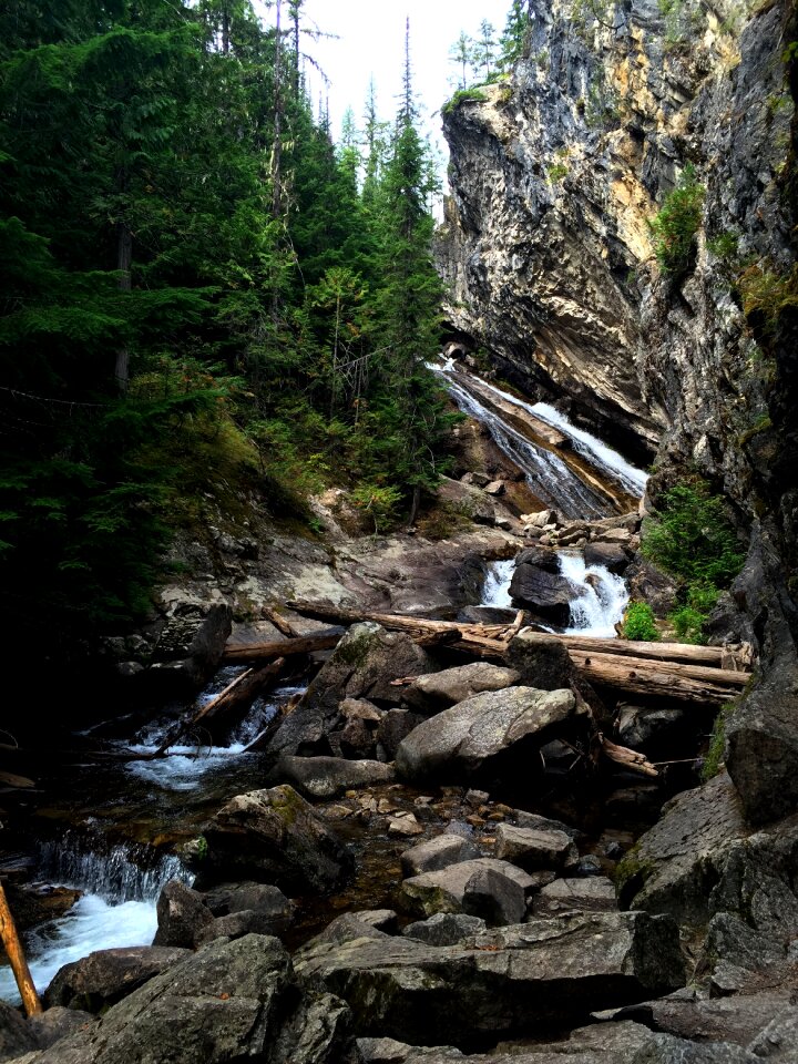 Forest scenery rock