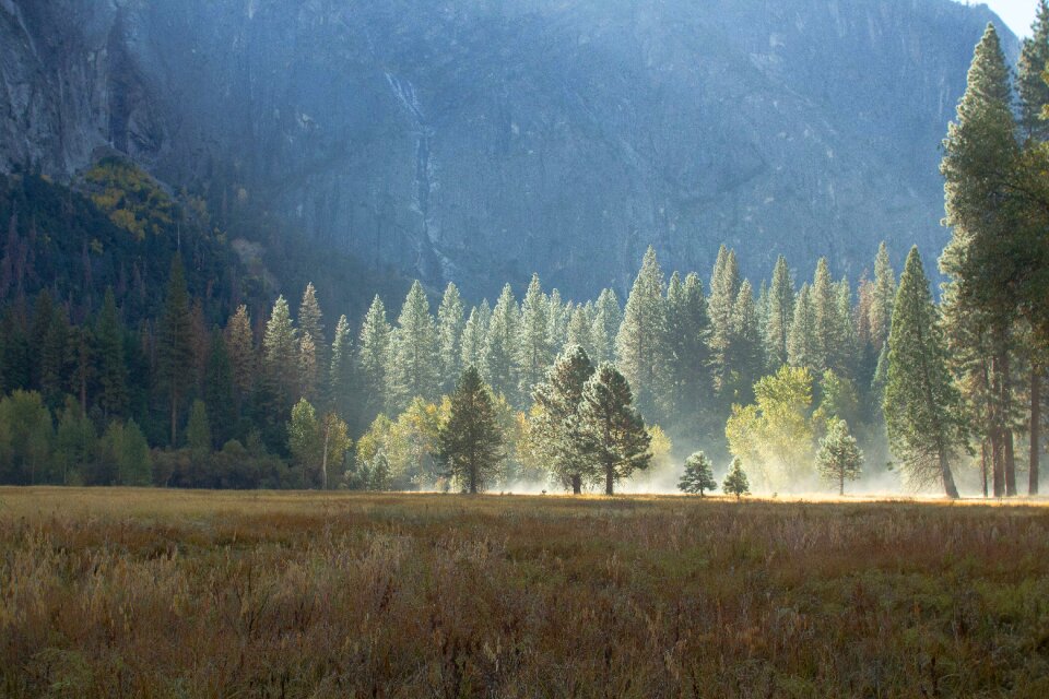 Field california