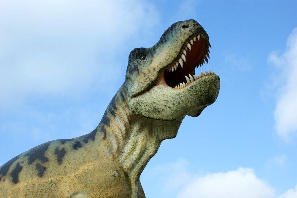 Amusement park model holidays