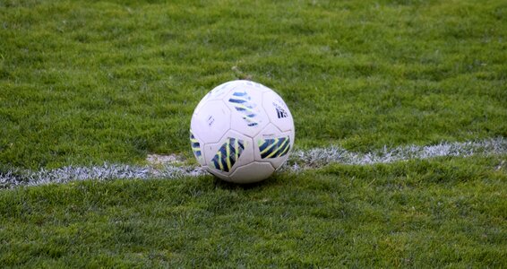 Grass stadium soccer field photo